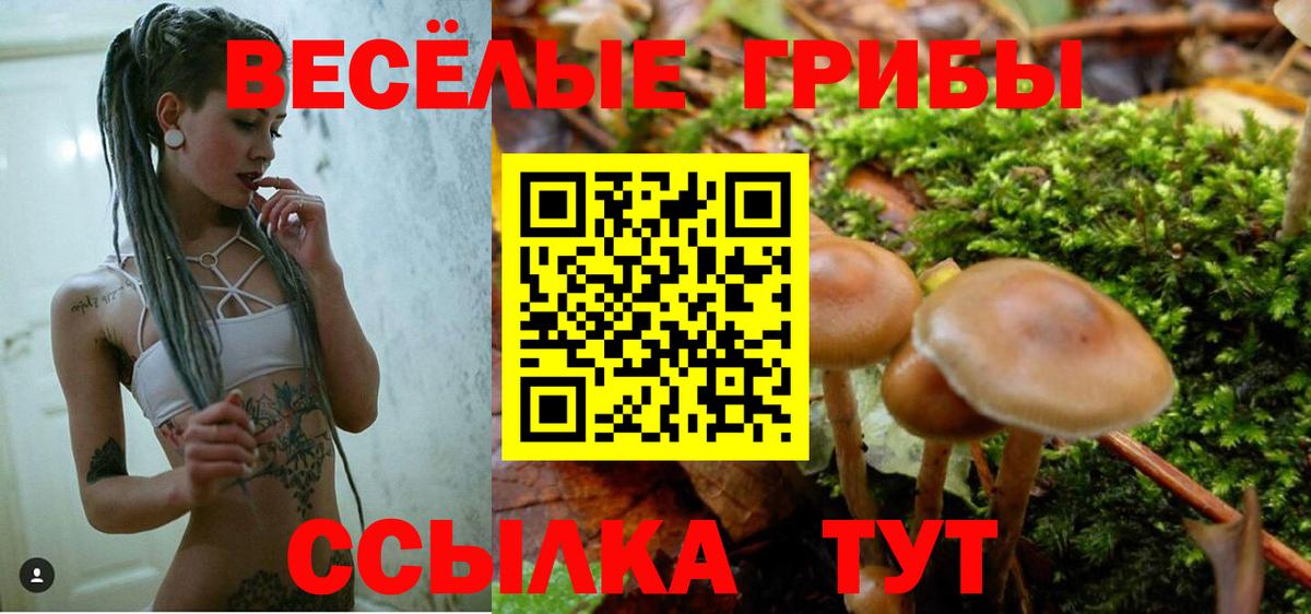 Соль-Илецк  Псилоцибиновые грибы мицелий  Вход с VPN  Псилоцибиновые грибы ЛСД 