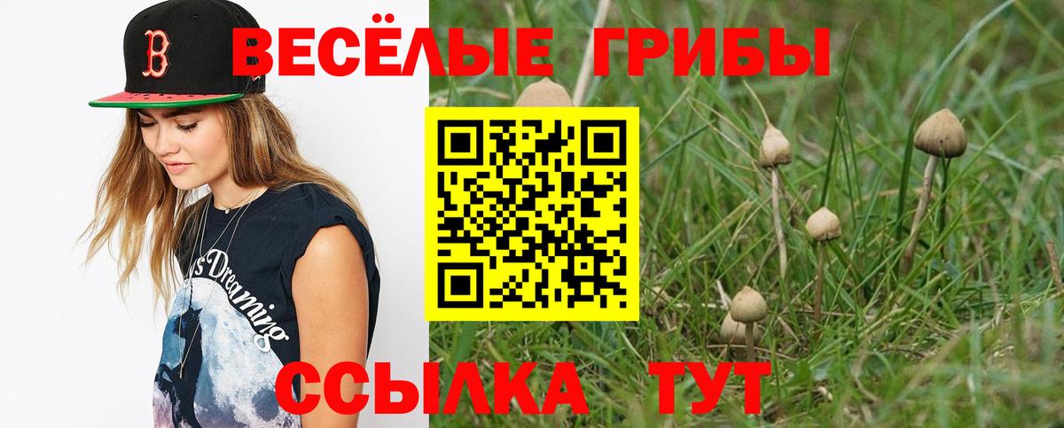 Псилоцибиновые грибы ЛСД Соль-Илецк